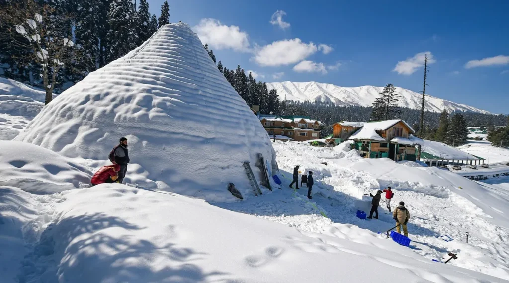 igloo-cafe-pti